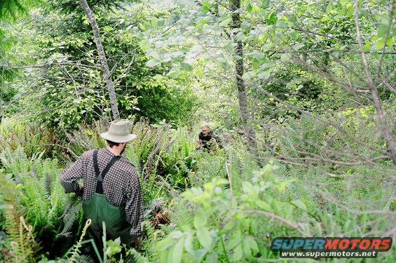 aquadrecoveralmost.jpg Just in sight of the truck.