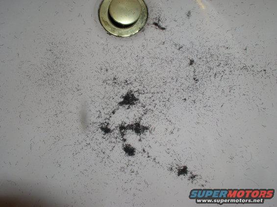 Sink drain covered in hair clippings