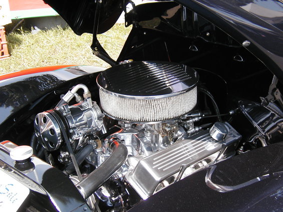 P1010049_1.JPG