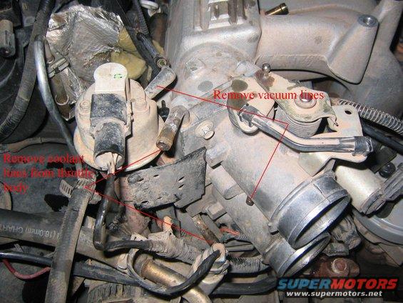 Close-up of engine throttle body with vacuum lines and coolant hoses labeled