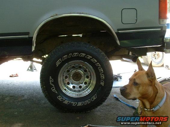 28-rear-complete.jpg Another shot of the rear finished