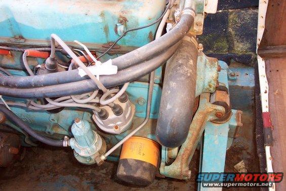 close-up of an engine bay with hoses, wires, fuel filter, and distributor cap