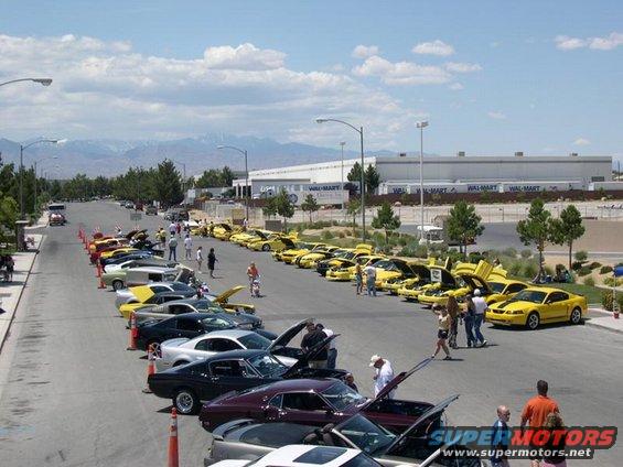 Lots of yellow Mustangs parked on a street for a car show. Some have hoods open. Mountains in background