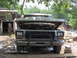 1978 Ford Bronco - This truck appears to be a 1979 Ford F-Series, not a Bronco, with its hood up revealing the engine.