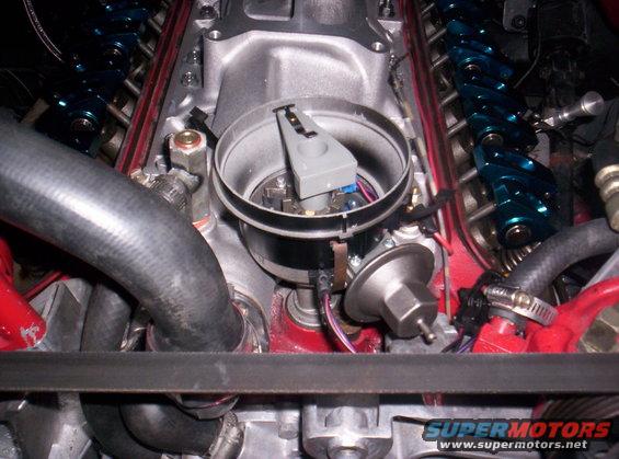 Close-up of engine's distributor cap and rotor with blue roller rockers visible