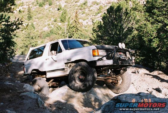 733760r113a_12.jpg Jaws1 