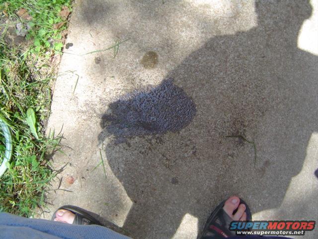 Shadow of a person and a dark puddle on a concrete surface next to grass