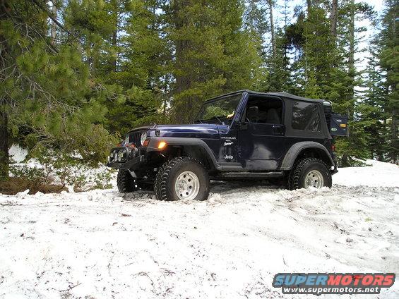 Dark blue Jeep Wrangler stuck in snow with trees in background