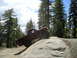 1989 Ford Bronco - A red pickup truck navigates a rocky trail in a wooded mountain area.