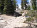 1989 Ford Bronco - A dark green pickup truck navigates a dusty, off-road trail surrounded by trees and rocks.