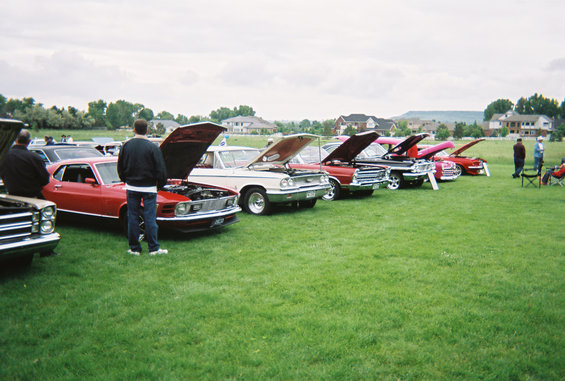 0682122r10229a.jpg Blue Oval Stampede