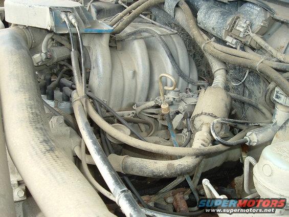 Engine bay with distributor cap and spark plug wires visible