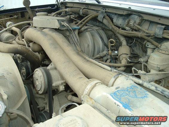 Engine bay showing large hoses, belts, and pulleys. Blue decal on radiator shroud