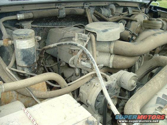 Engine bay with dusty components and hoses, showing alternator and air intake