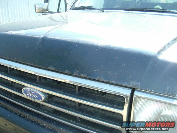 Dark blue Ford Bronco grille with chrome trim and a Ford emblem. Hood shows dust and some rust spots