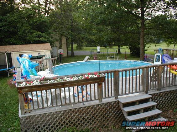 Above ground pool with wooden deck and inflatable dolphin