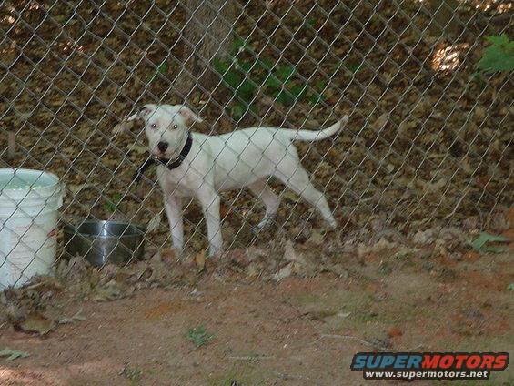 dscf0022.jpg sadi again