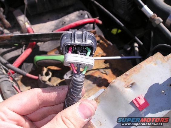 restuff plug