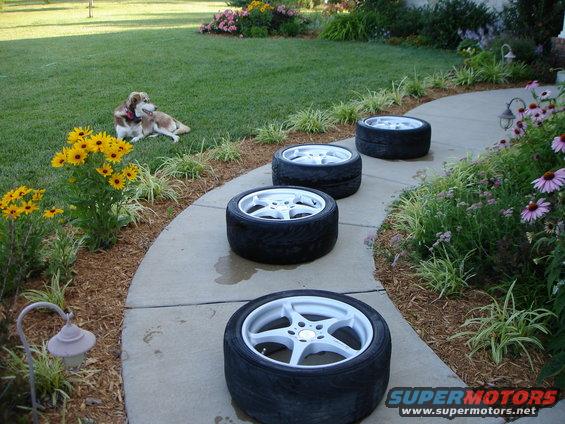 Four tires and wheels on a curved concrete path next to a lawn and garden