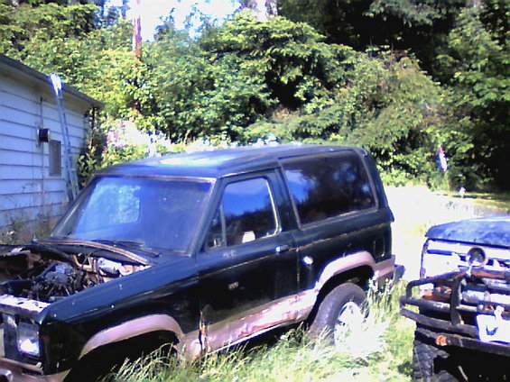 Dark green 1987 Ford Bronco II parked in grass next to another vehicle