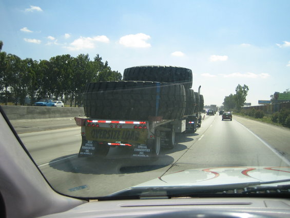 img_1066.jpg Now these are big!!