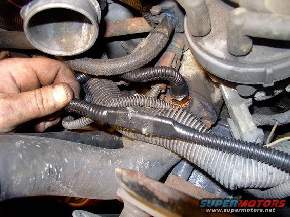 img_0148.jpg Here's the the quick disconnect all together and stuffed full of dielectric grease. The sensor, behind it is coated in sealant and threaded in.