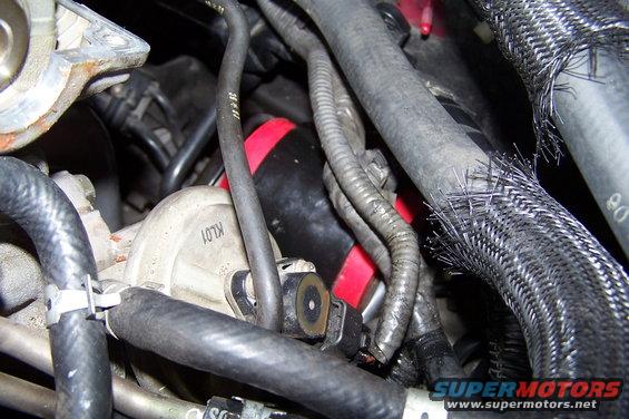 Engine bay hoses and electrical connectors, some with braided sleeving