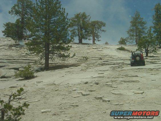 Black SUV with spare tire on rear door drives up a rocky, treed incline