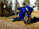 2004 Kawasaki Ninja R - Bike along side local road..