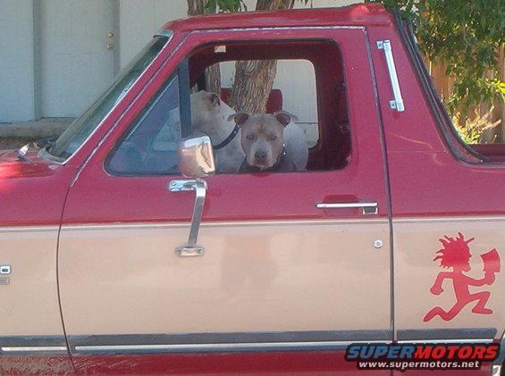 milbronc.jpg My dog Milenko and the Bronc
