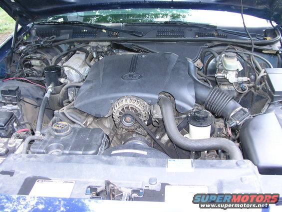 1999 Ford Crown Victoria engine bay with black engine cover and visible alternator