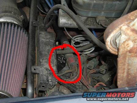 fuelpumprelay1.jpg 