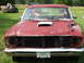 1966 Ford Ranchero - pretty rusty