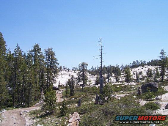 Dirt path winds through a rocky, wooded mountainside under a clear blue sky. Dead trees dot the landscape