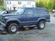 1982 Ford Bronco - A blue SUV is parked outside with its hood up and front end elevated on jack stands, suggesting maintenance or repair work.