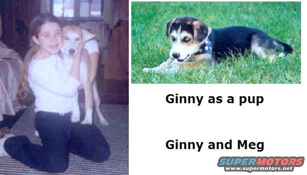 ginny-and-meg.jpg 