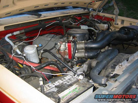 lizs-graduation-010.jpg poweraid spacer