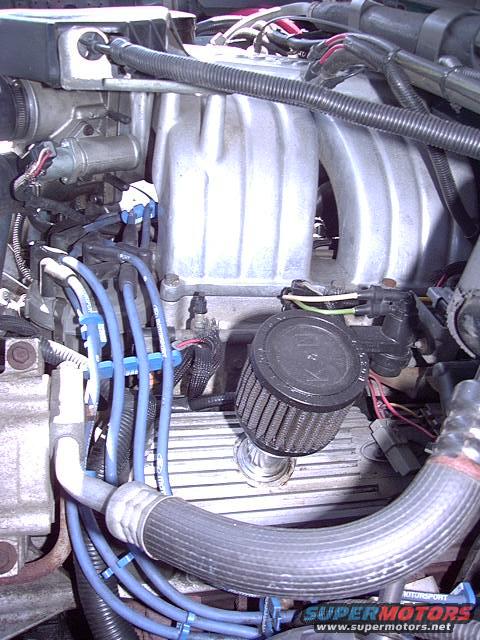 Engine bay with aluminum intake manifold, blue spark plug wires, and black air filter