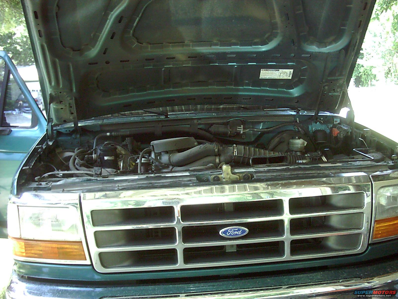1996 Ford Bronco “mean green”