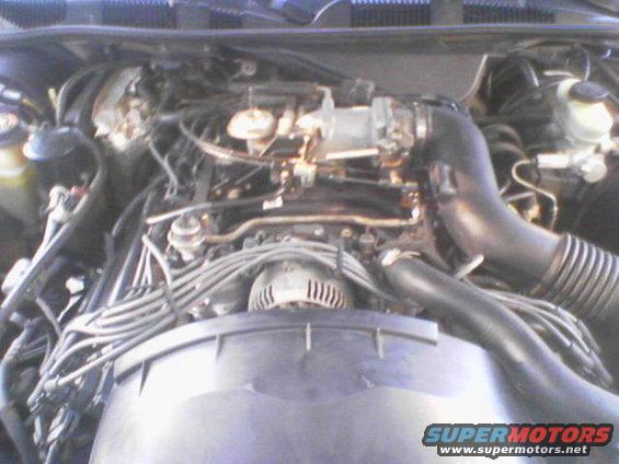 My 4.6L V8 with all of the usless plastic pulled and tossed in the trash