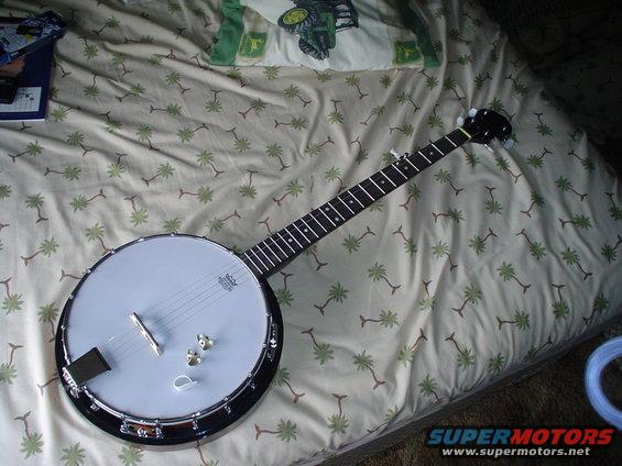 Banjo on palm tree patterned bedding