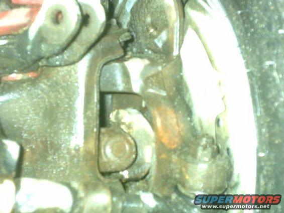 jul04369.jpg my ears are gone