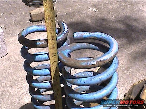 two blue coil springs next to a yellow measuring tape showing about 20 inches