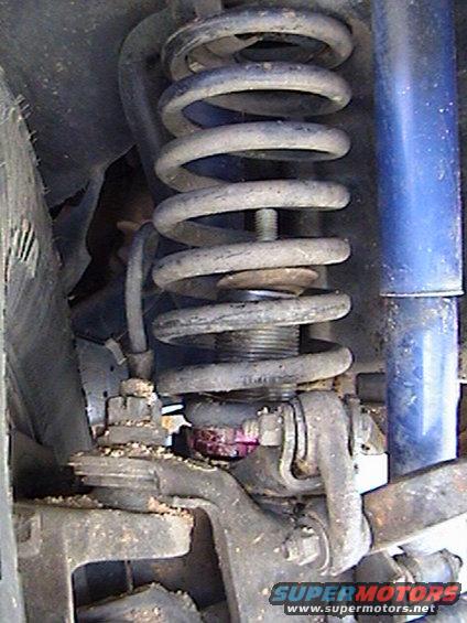 My modded adjustable Coils in the front, and yes they do and can handle the abuse of jumping my truck 5 or so feet in the air jump after jump.....oh, and still work even after my wifes driving...