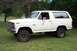 1985 Ford Bronco - A white Ford Bronco is parked on a grassy lawn with trees in the background.