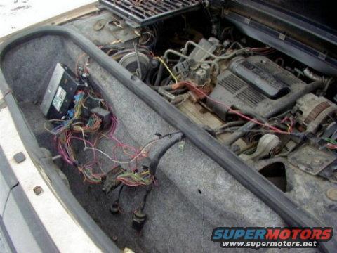 wiring1.jpg 
