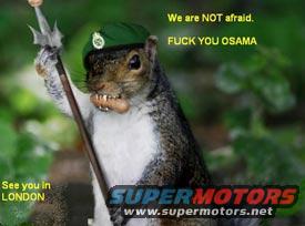 pedromarchic.jpg Terrorism sucks.