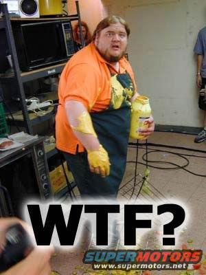 wtf.jpg 