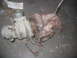 1985 Ford Crown Victoria LTD - A turbocharger assembly, likely removed from a vehicle, rests on a concrete surface.