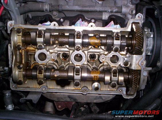 Rear bank